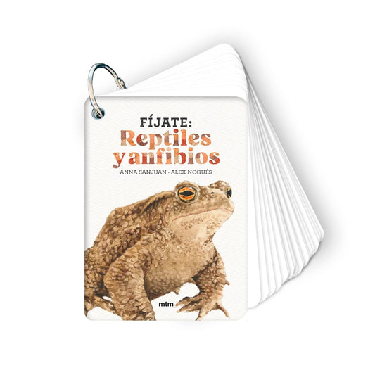 Fíjate: reptiles y anfibios: Pequeña guía para iniciarse en la observación de la naturaleza.: 8