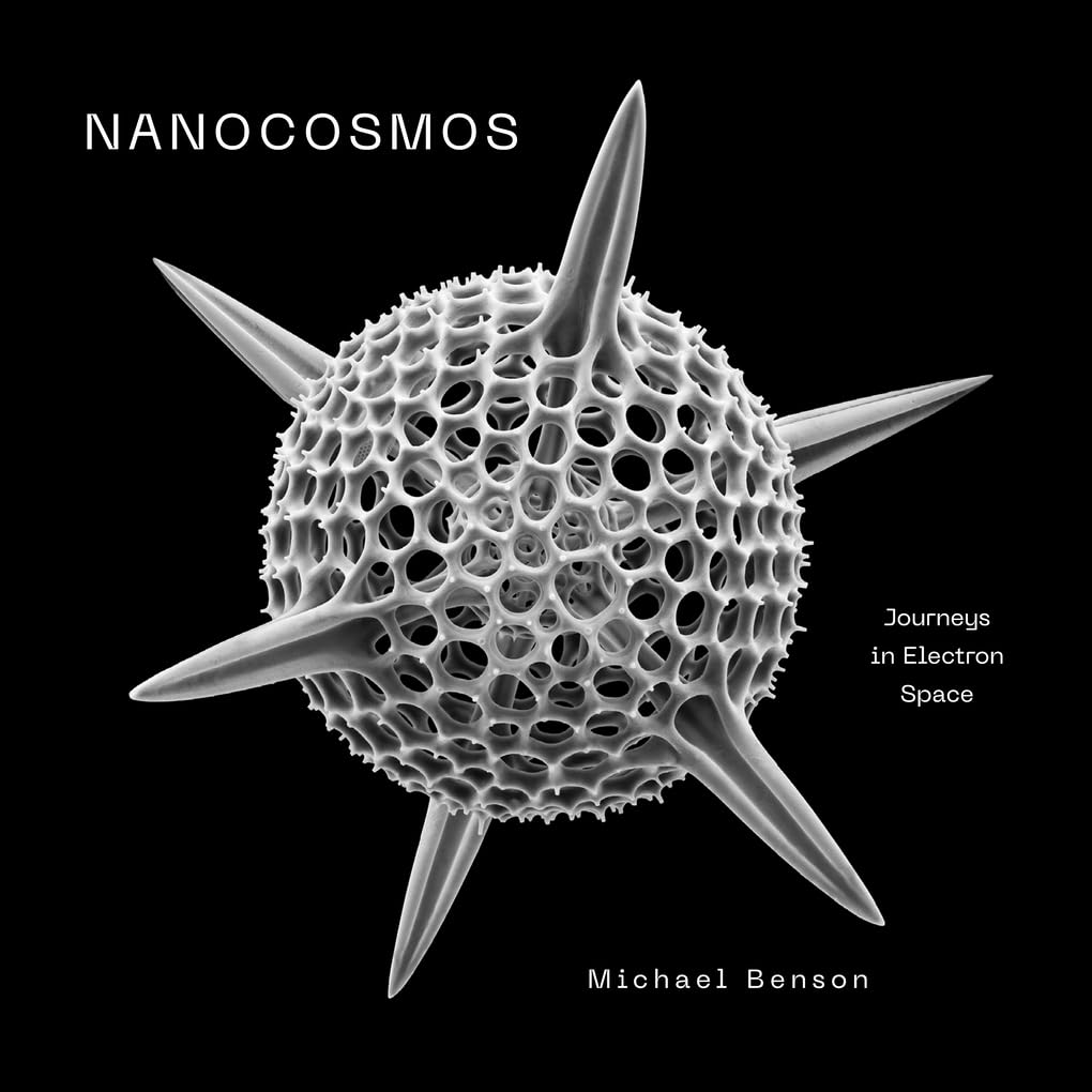 Libro: Nanocosmos: Journeys in Electron Space