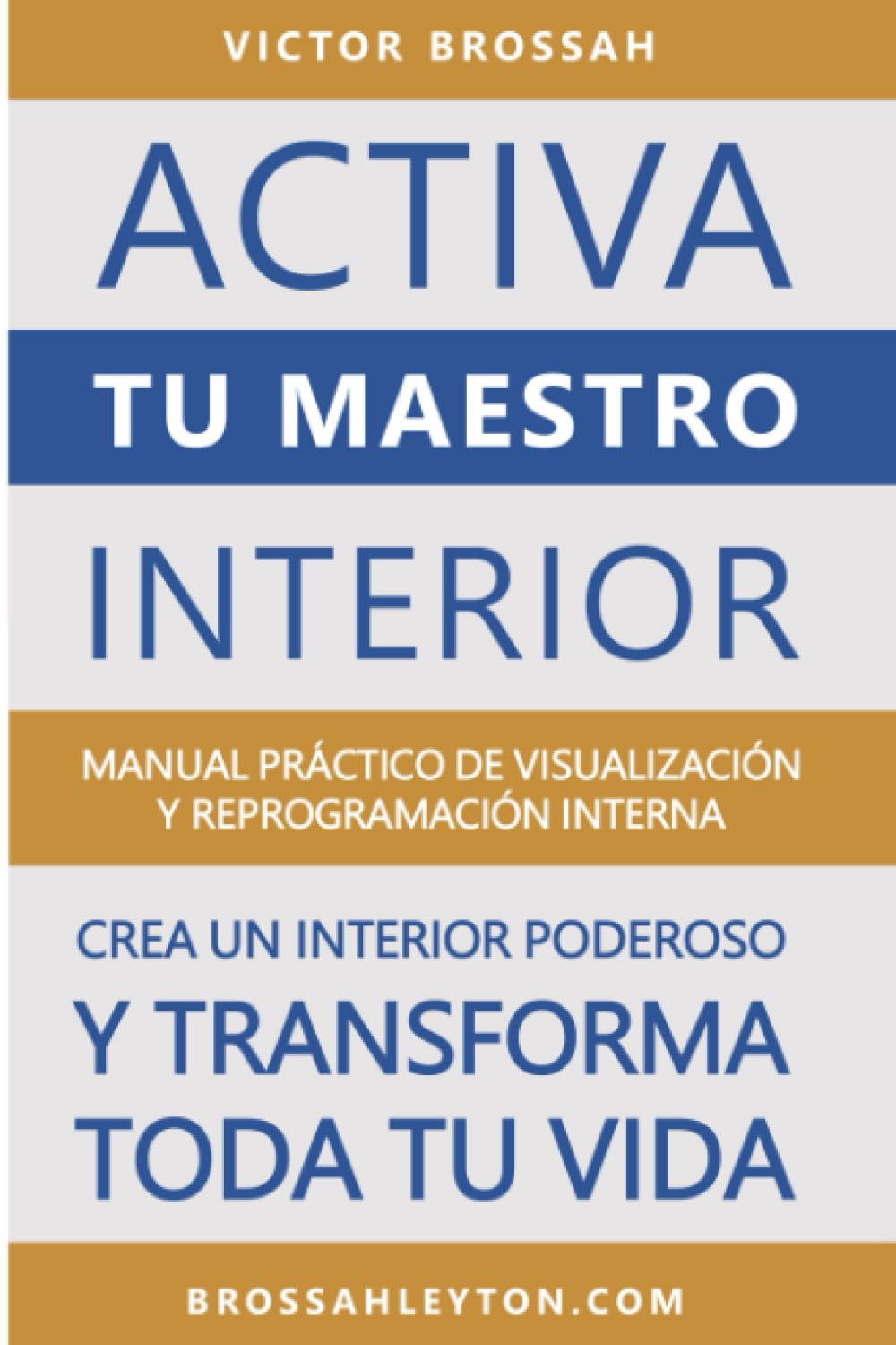 Libro: ACTIVA TU MAESTRO INTERIOR: Manual de visualización y reprogramación del universo interno