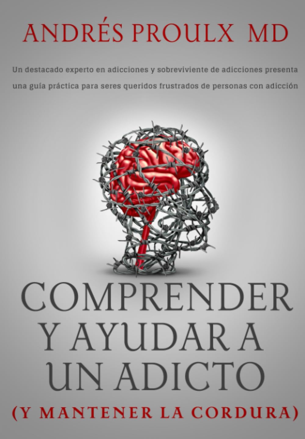 Libro: Comprender y ayudar a un adicto (y mantener la cordura) (Spanish Edition)