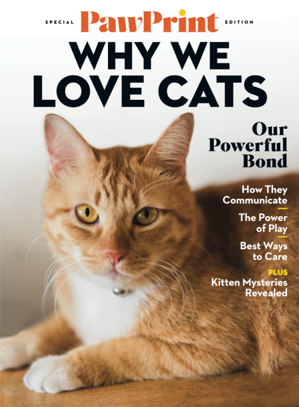 Libro: PawPrint Why We Love Cats