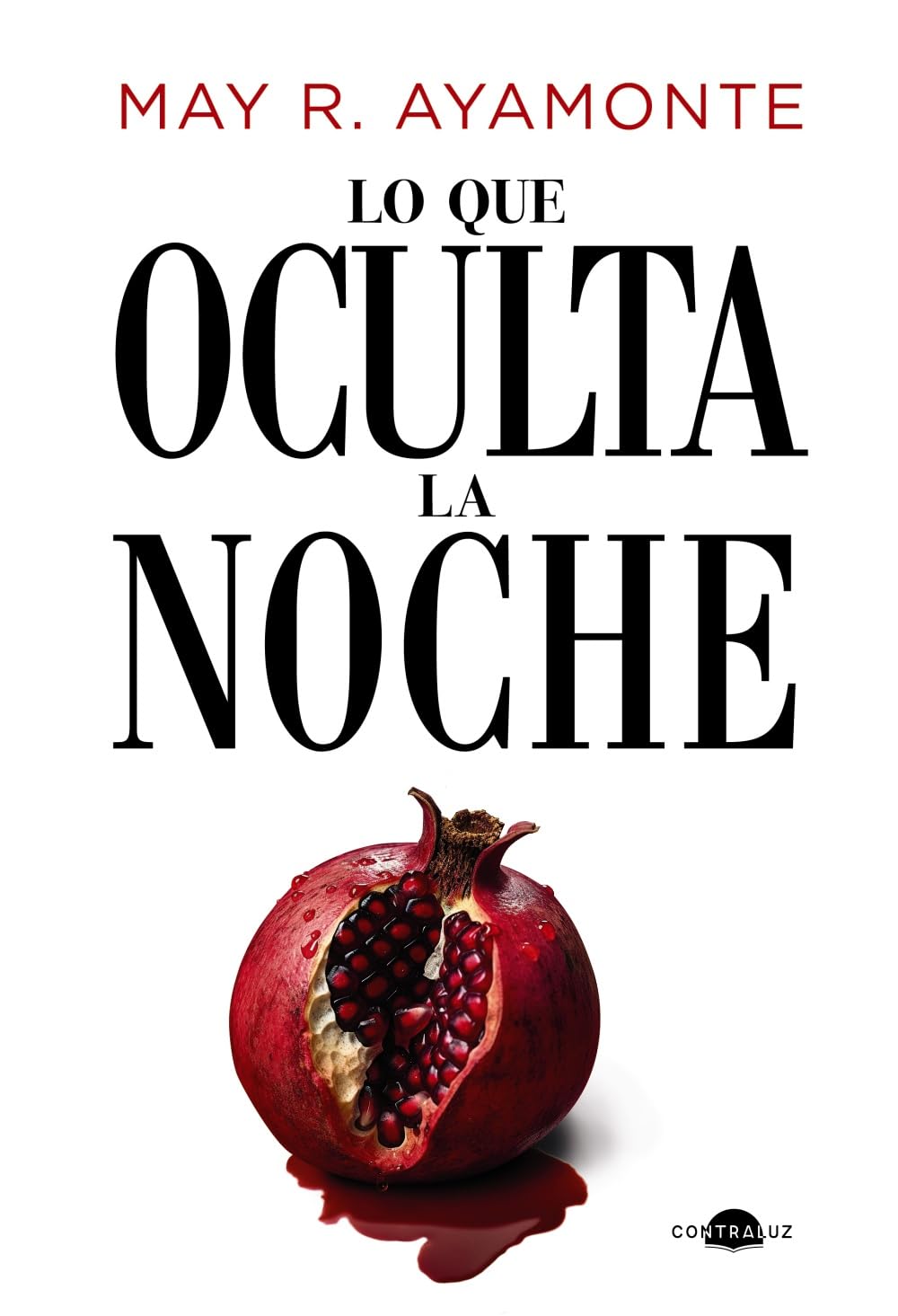 Libro: Lo que oculta la noche