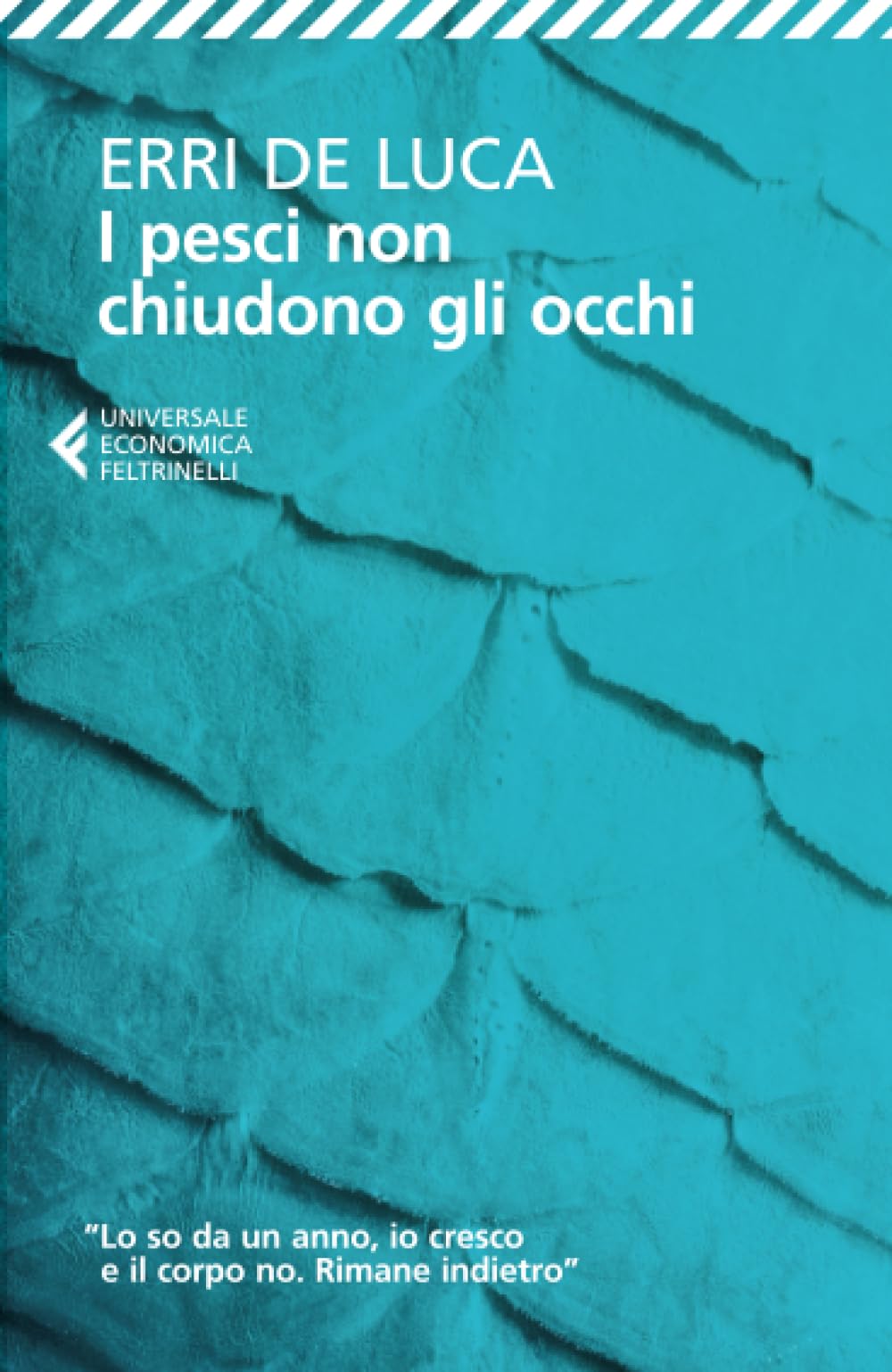 Libro: I pesci non chiudono gli occhi (Italian Edition)