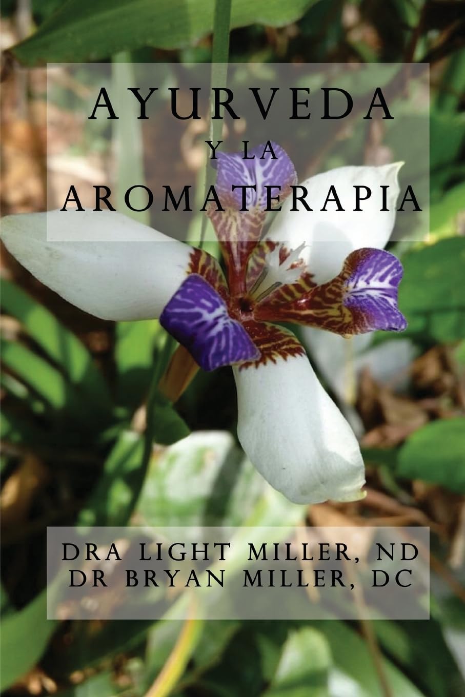Libro: Ayurveda y la aromaterapia (Spanish Edition)