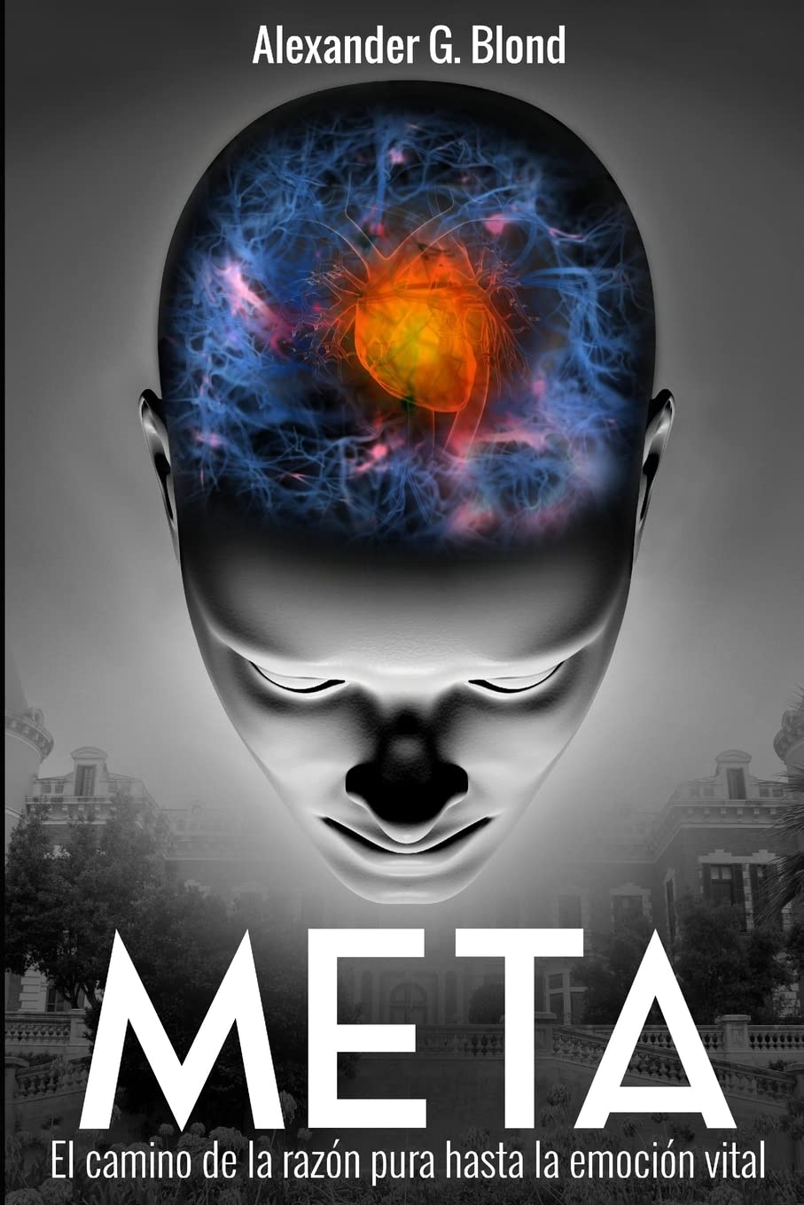 Libro: Meta (Spanish Edition)