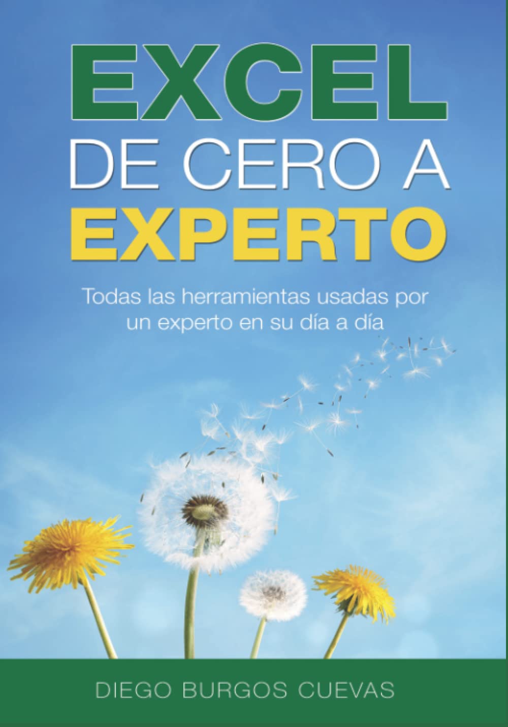 Libro: Excel de cero a experto: todas las herramientas usadas por un experto en su día a día
