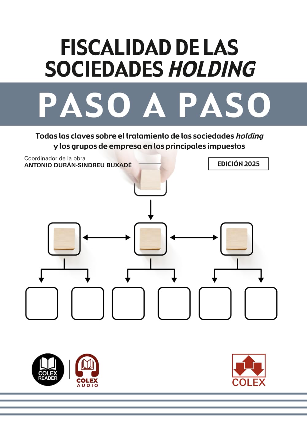 Libro: Fiscalidad de las sociedades holding. Paso a paso: Todas las claves sobre el tratamiento de las sociedades holding y los grupos de empresa en los principales impuestos