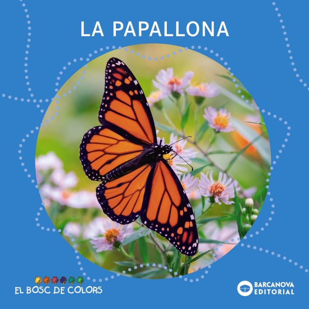 Libro: La papallona (Llibres infantils i juvenils - El bosc de colors)