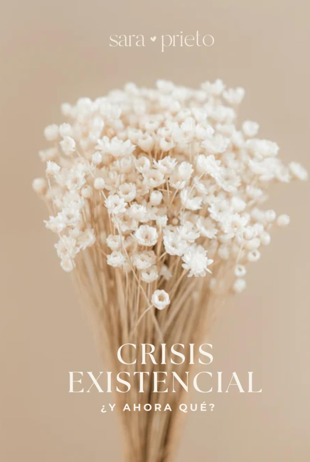 Libro: Crisis existencial, ¿y ahora qué? (Spanish Edition)