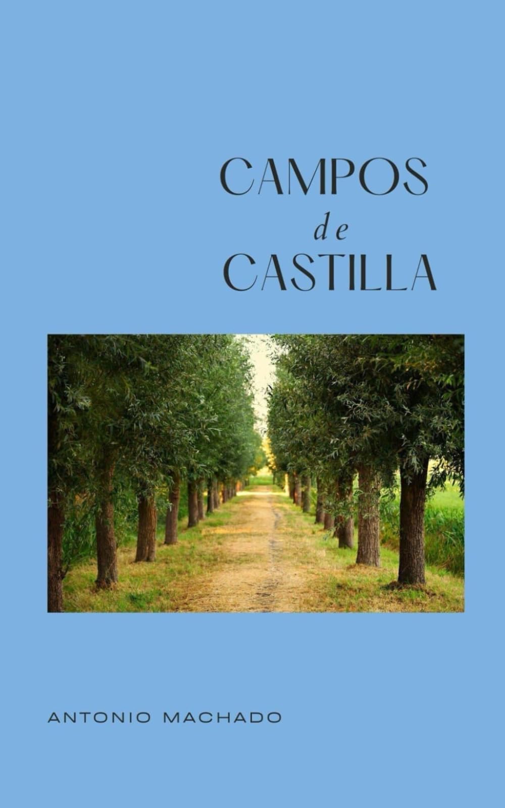 Libro: Campos de Castilla (Spanish Edition)