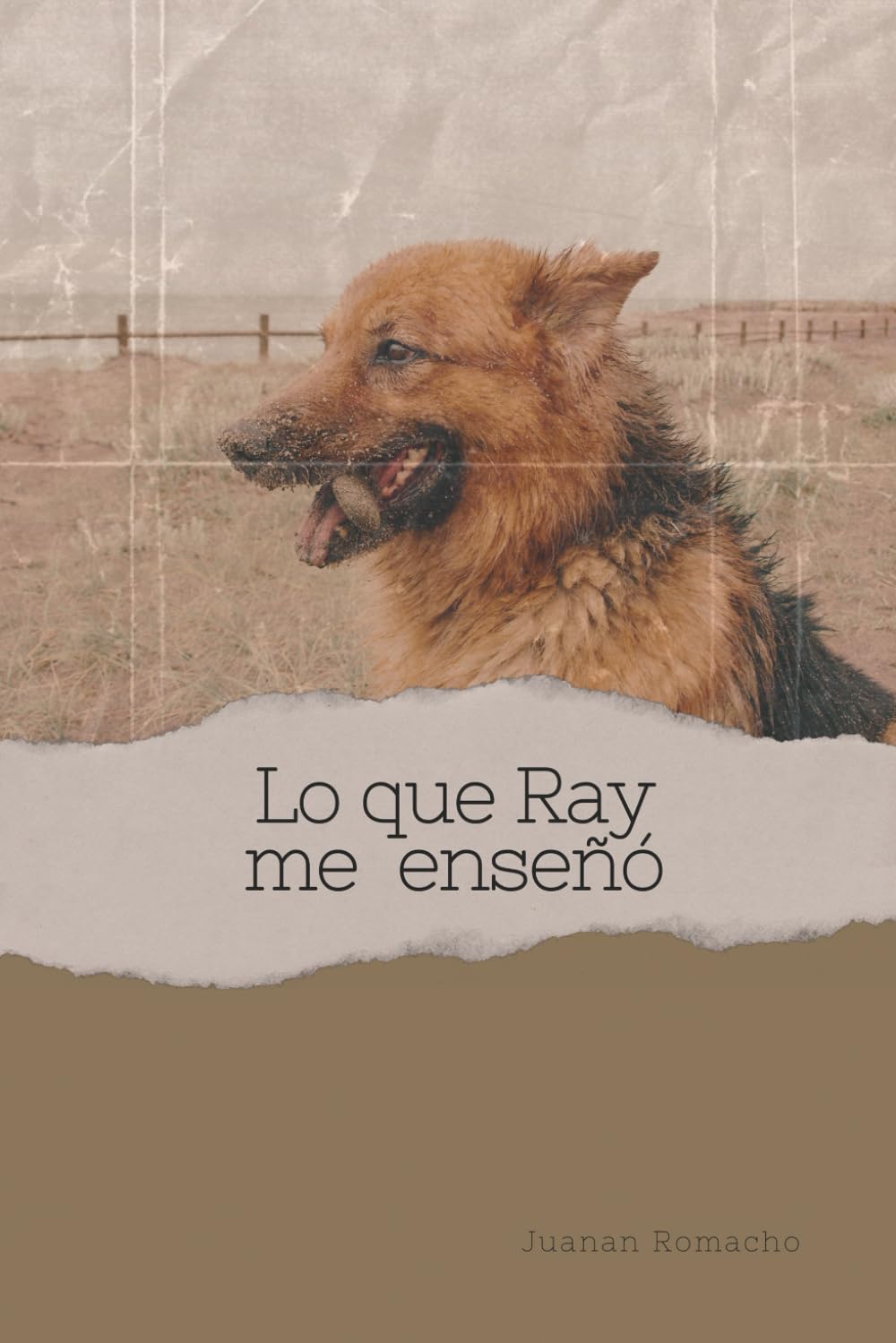 Libro: Lo que Ray me enseñó (Spanish Edition)