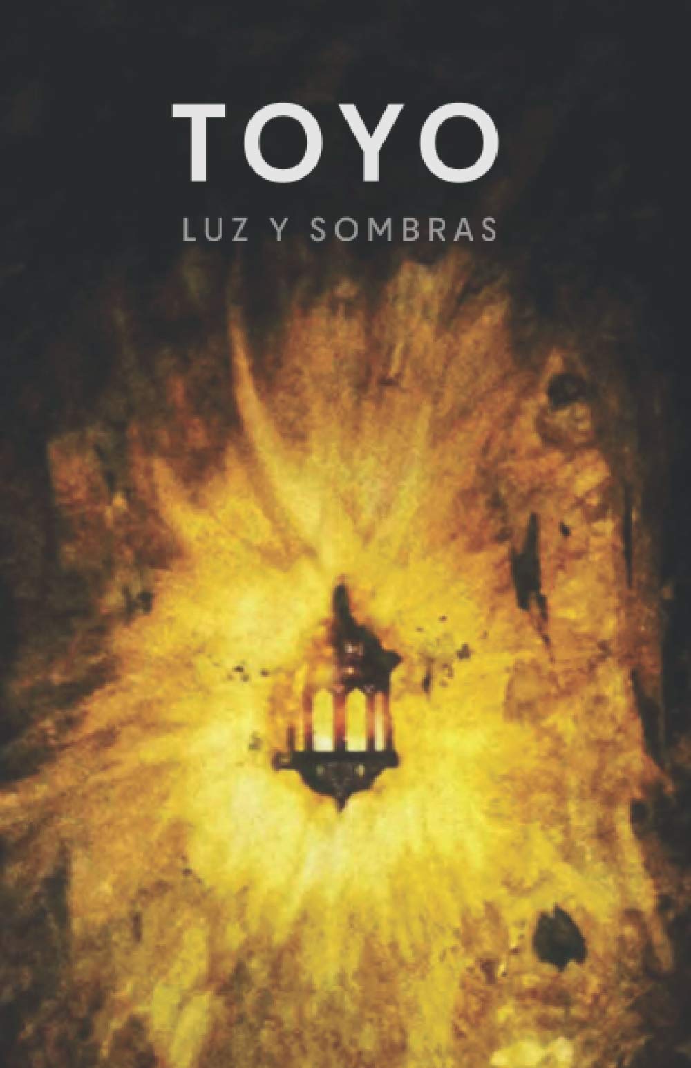 Libro: Luz y Sombras (Spanish Edition)