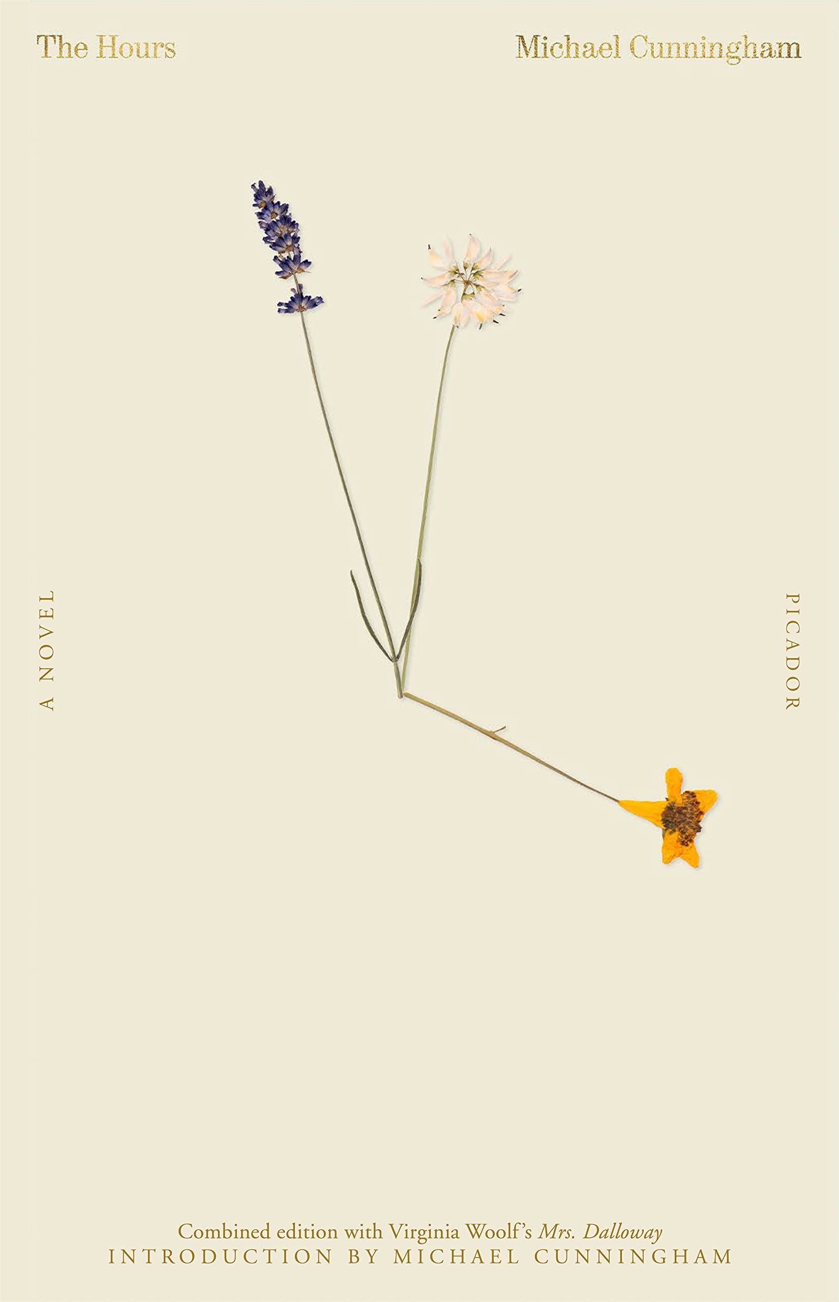 Libro: The Hours / Mrs. Dalloway: A Novel