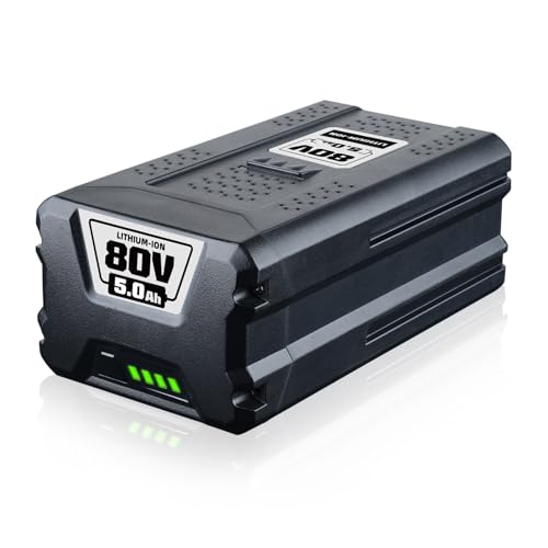 FERRYBOAT---Paquete-de-1-batería-de-repuesto-GBA80200-de-80-V-y-5-Ah-para-Greenworks-80-V-(GBA80200,-GBA80250,-GBA80400,-GBA80500),-compatible-con-herramientas-eléctricas-inalámbricas-Greenworks-80-V-Max-Series.