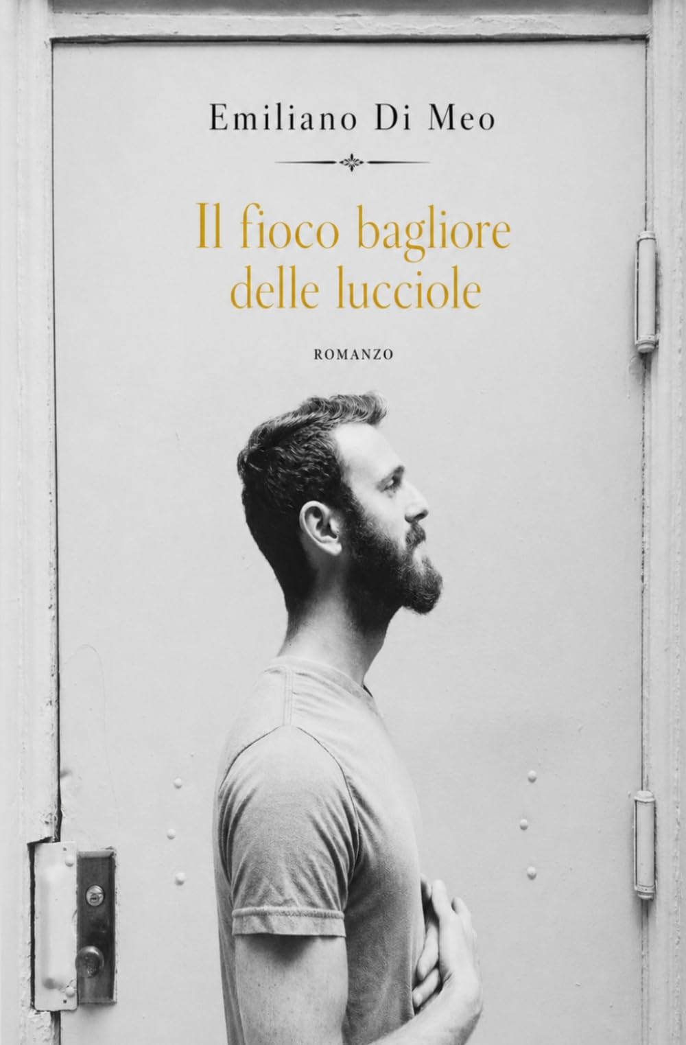 Libro: Il fioco bagliore delle lucciole