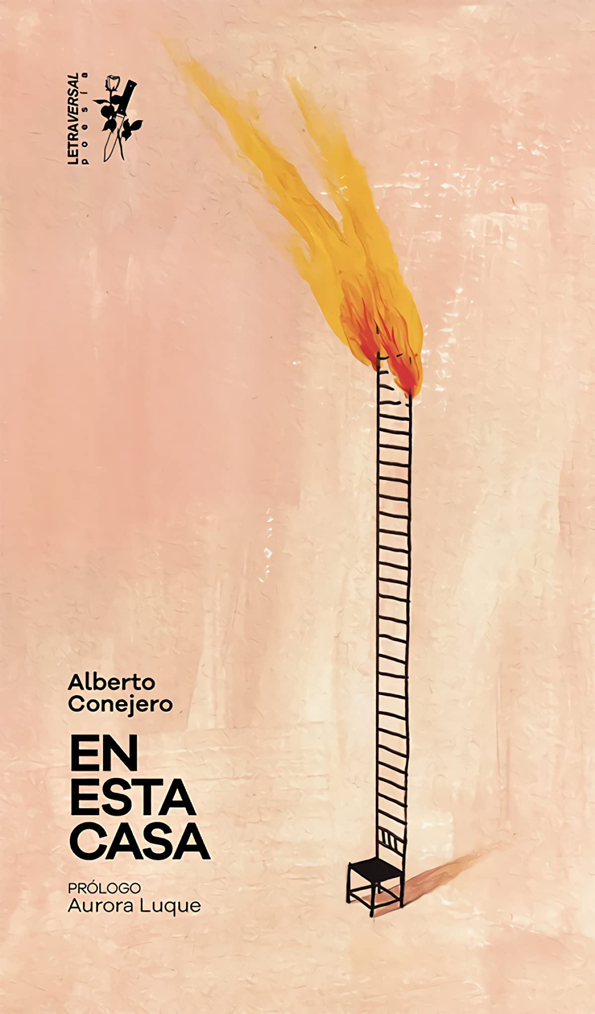 Libro: En esta casa