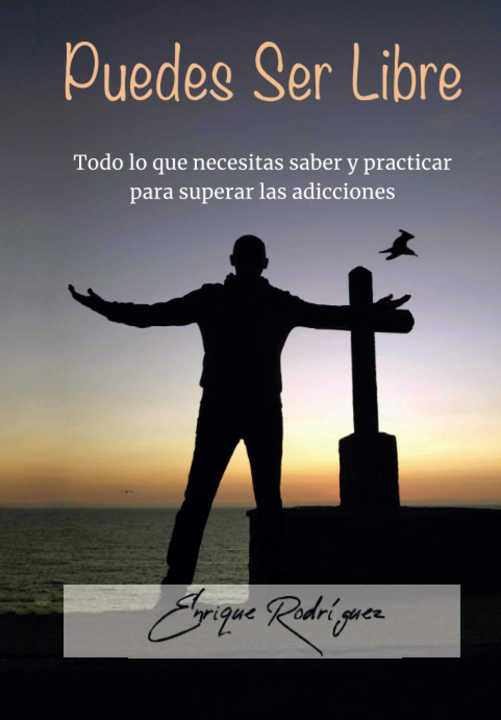 Libro: PUEDES SER LIBRE: Todo lo que necesitas saber y practicar para superar las adicciones