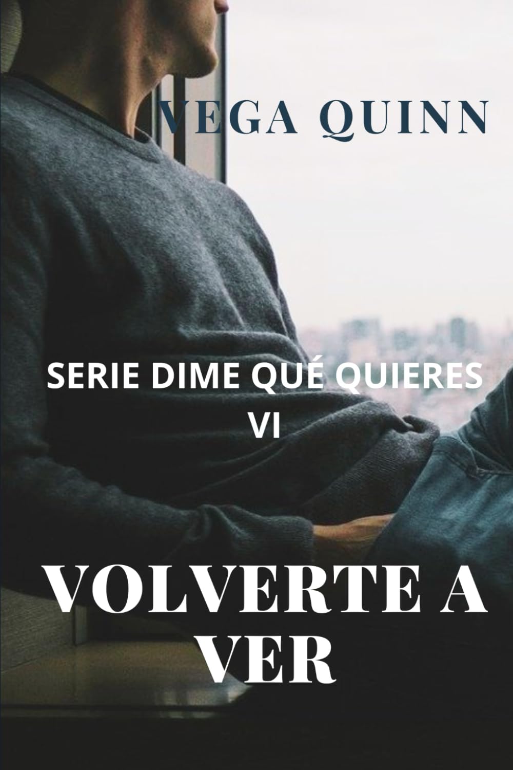 Libro: Volverte a ver (Erótica) LGBT (Dime qué quieres) (Spanish Edition)