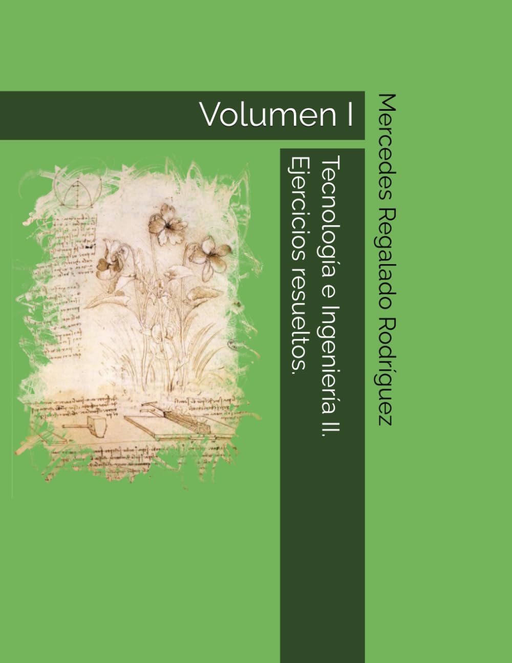 Libro: Tecnología e Ingeniería II. Ejercicios resueltos.: Volumen I.