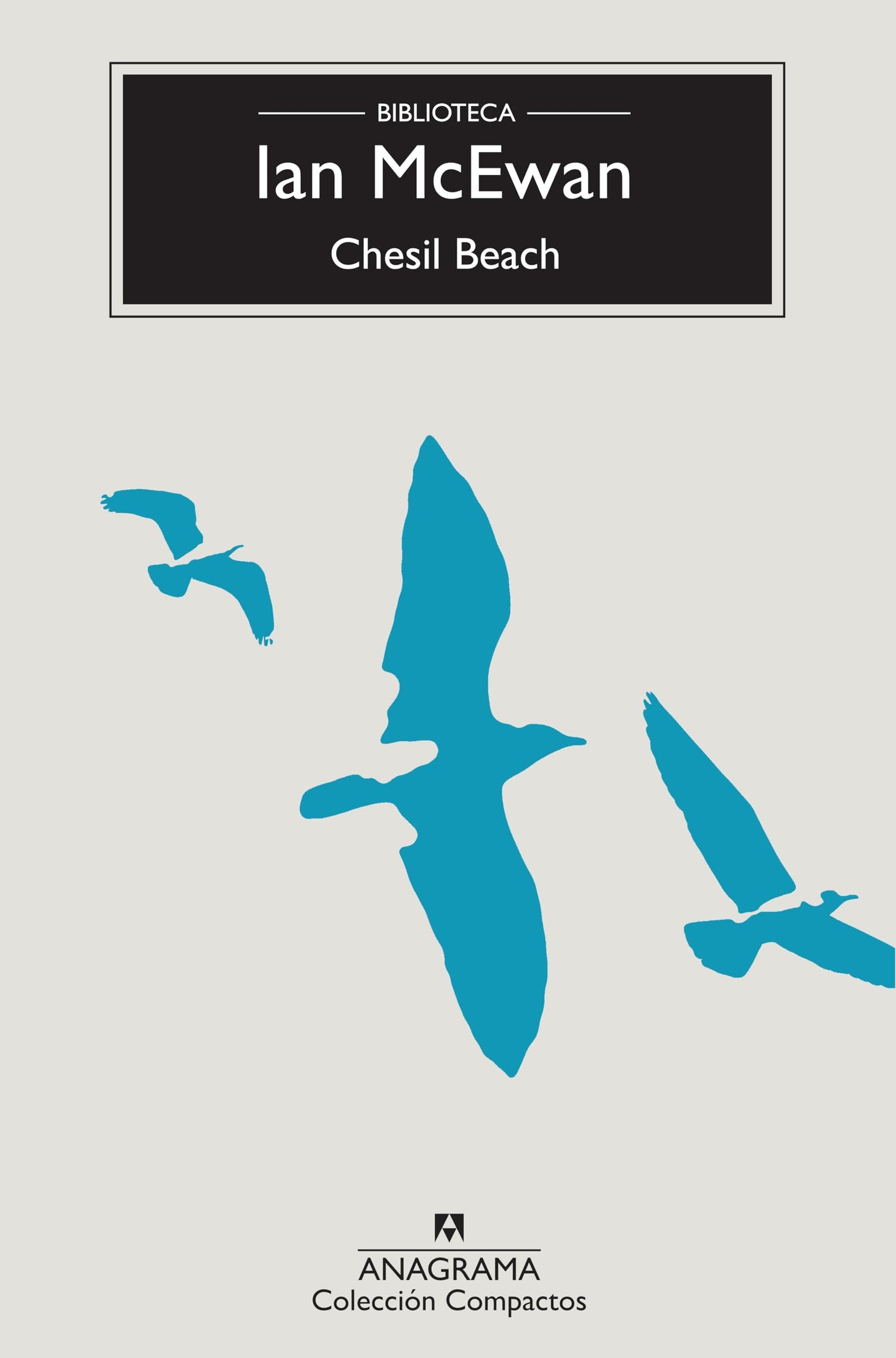 Libro: Chesil Beach (Spanish Edition)