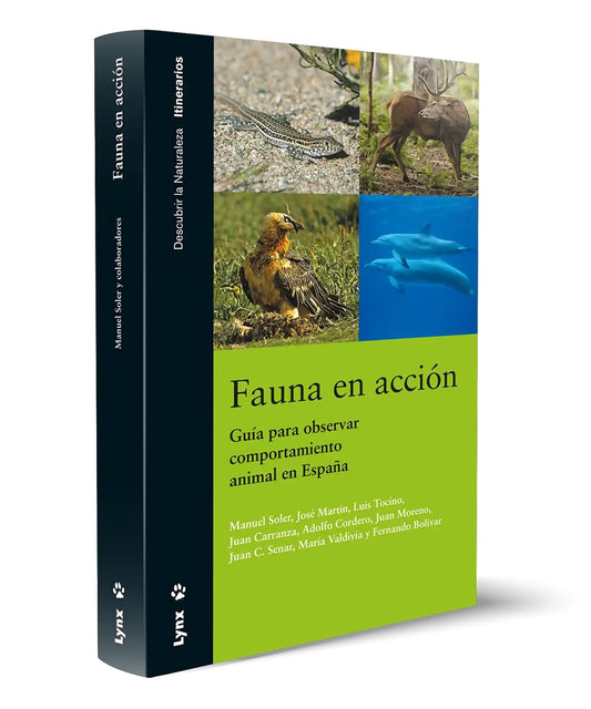 Fauna en acción - Guía para observar comportamiento animal en España (Descubrir la Naturaleza)