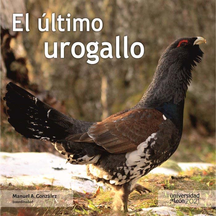 Libro: El último urogallo (LIBROS ESPECIALES)