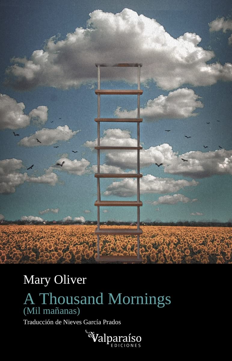 Libro: A Thousand Mornings: Mil Mañanas
