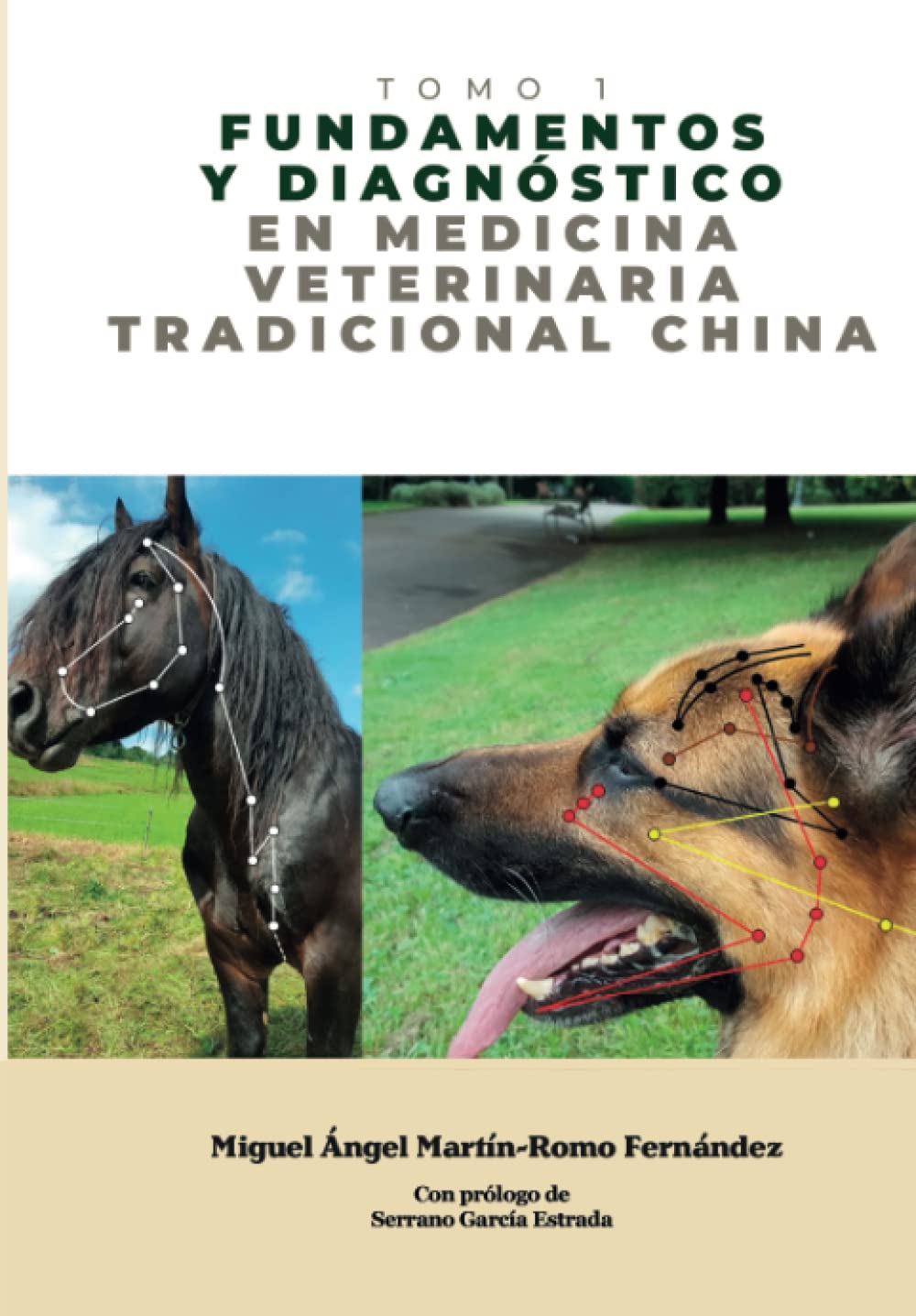Libro: Fundamentos y Diagnóstico en Medicina Veterinaria Tradicional China: Medicina Tradicional China - Tomo 1 (Spanish Edition)