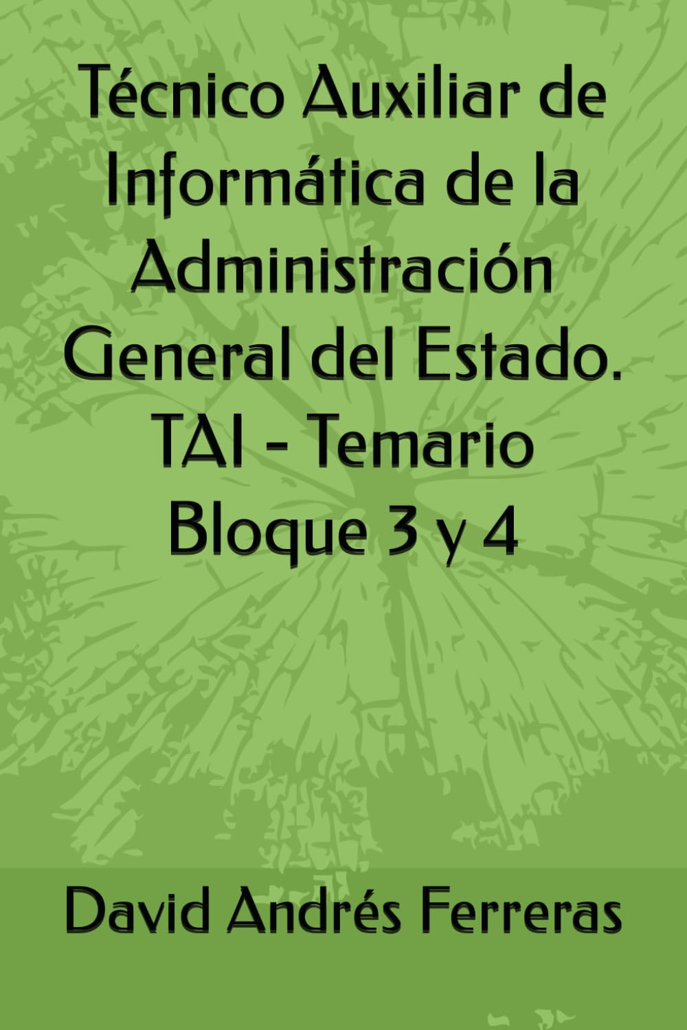 Libro: Técnico Auxiliar de Informática de la Administración General del Estado. TAI - Temario Bloque 3 y 4 (Spanish Edition)