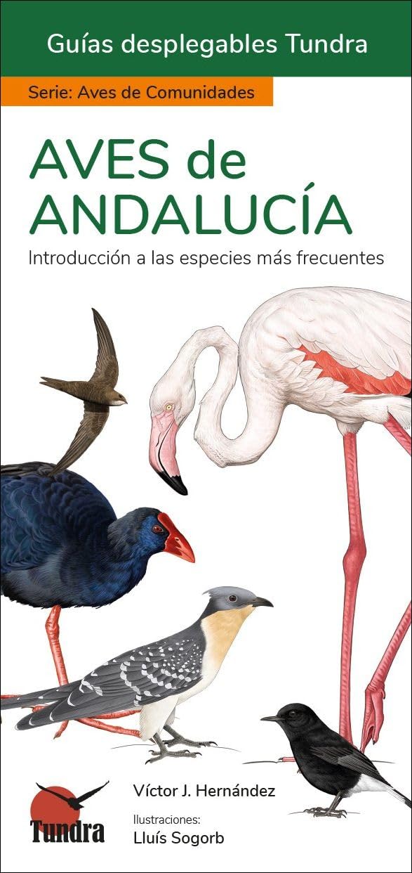 Libro: Aves De Andalucia Guias Desplegables Tundra