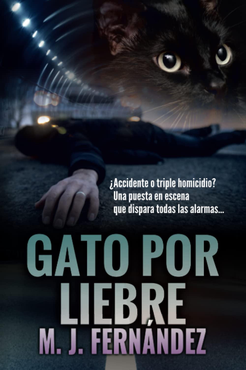 Libro: Gato por liebre. (Inspector Salazar 04): Novela negra (Serie del inspector Salazar)