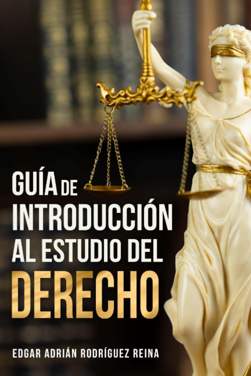 Libro: Guía de Introducción al Estudio del Derecho (Spanish Edition)
