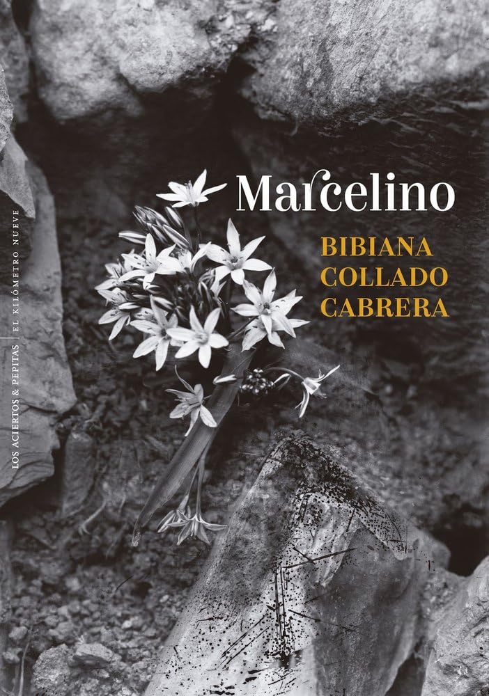 Marcelino: Decires de un hombre: 88 (Ficción)