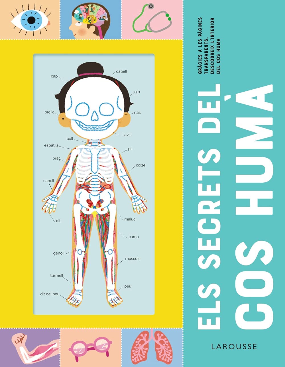 Libro: Els secrets del cos humà (LAROUSSE - Infantil / Juvenil - Catalán - A partir de 8 años)