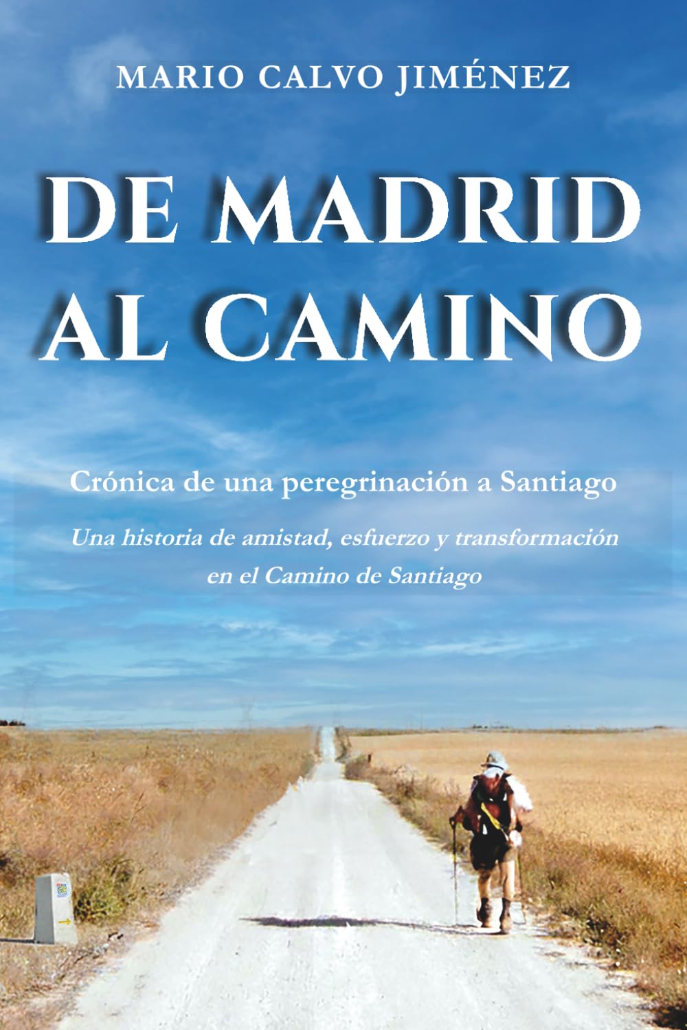 Libro: DE MADRID AL CAMINO: Crónica de una peregrinación a Santiago