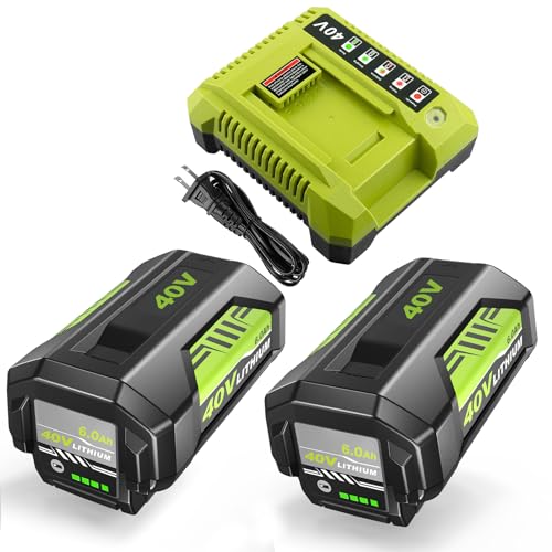 Reemplazo-Moticett-para-batería-de-iones-de-litio-Ryobi-de-40-V-y-6,0-Ah-y-cargador-compatible-con-la-herramienta-eléctrica-inalámbrica-Ryobi-de-40-voltios.