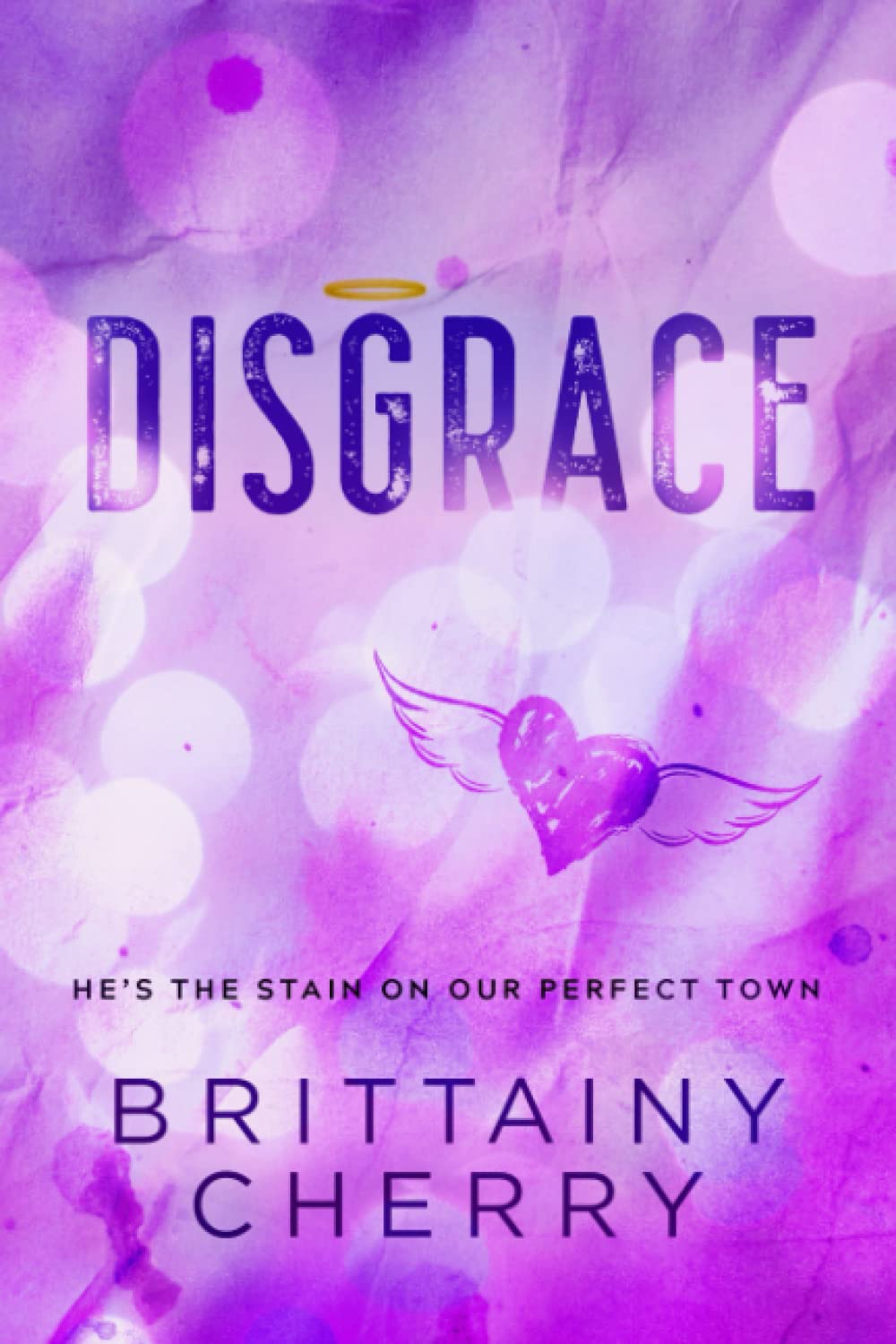 Libro: Disgrace