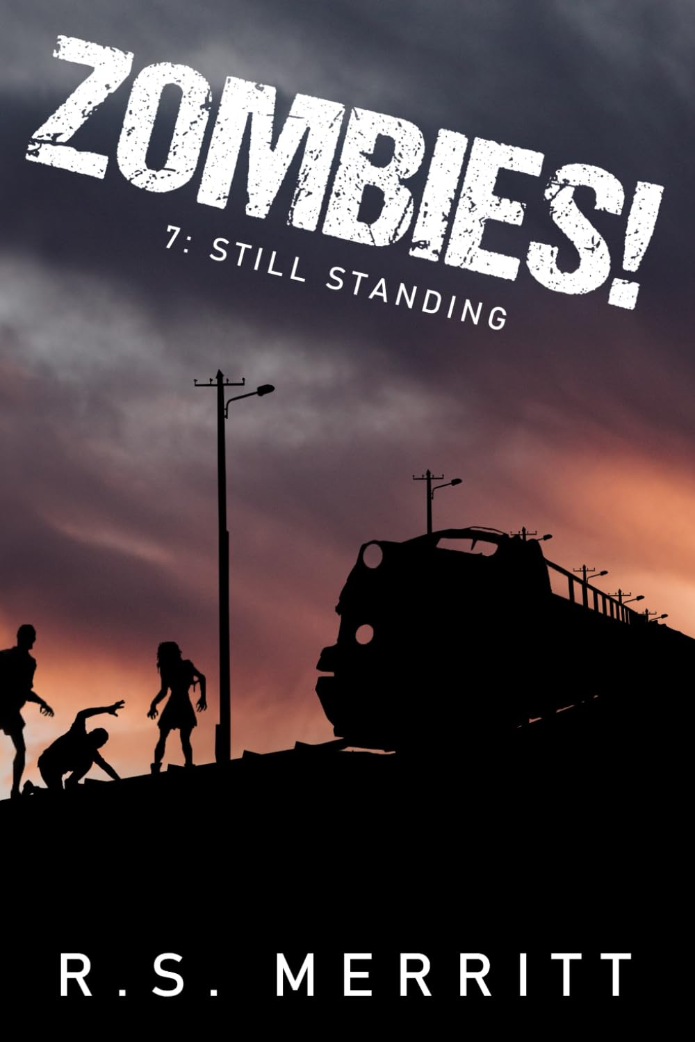 Libro: Zombies!: Book 7: Still Standing