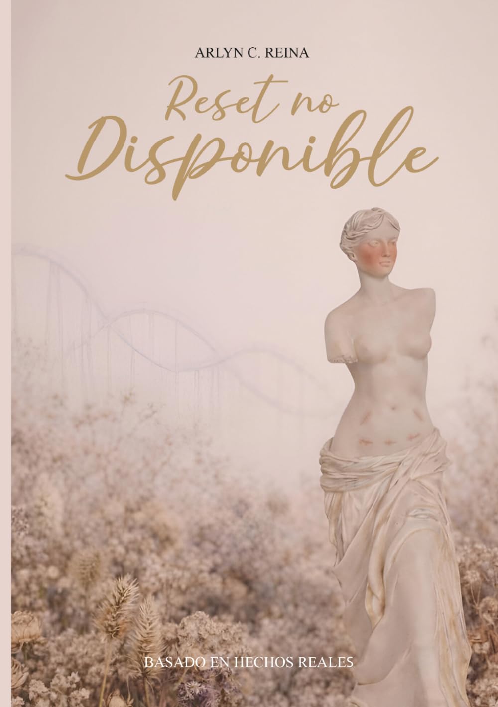 Libro: Reset no disponible (Spanish Edition)