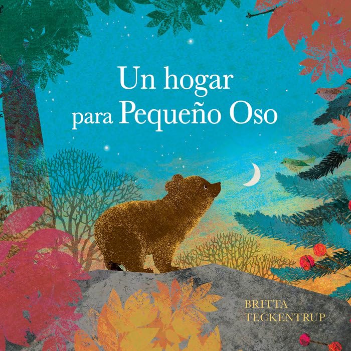 Libro: Un hogar para pequeño Oso