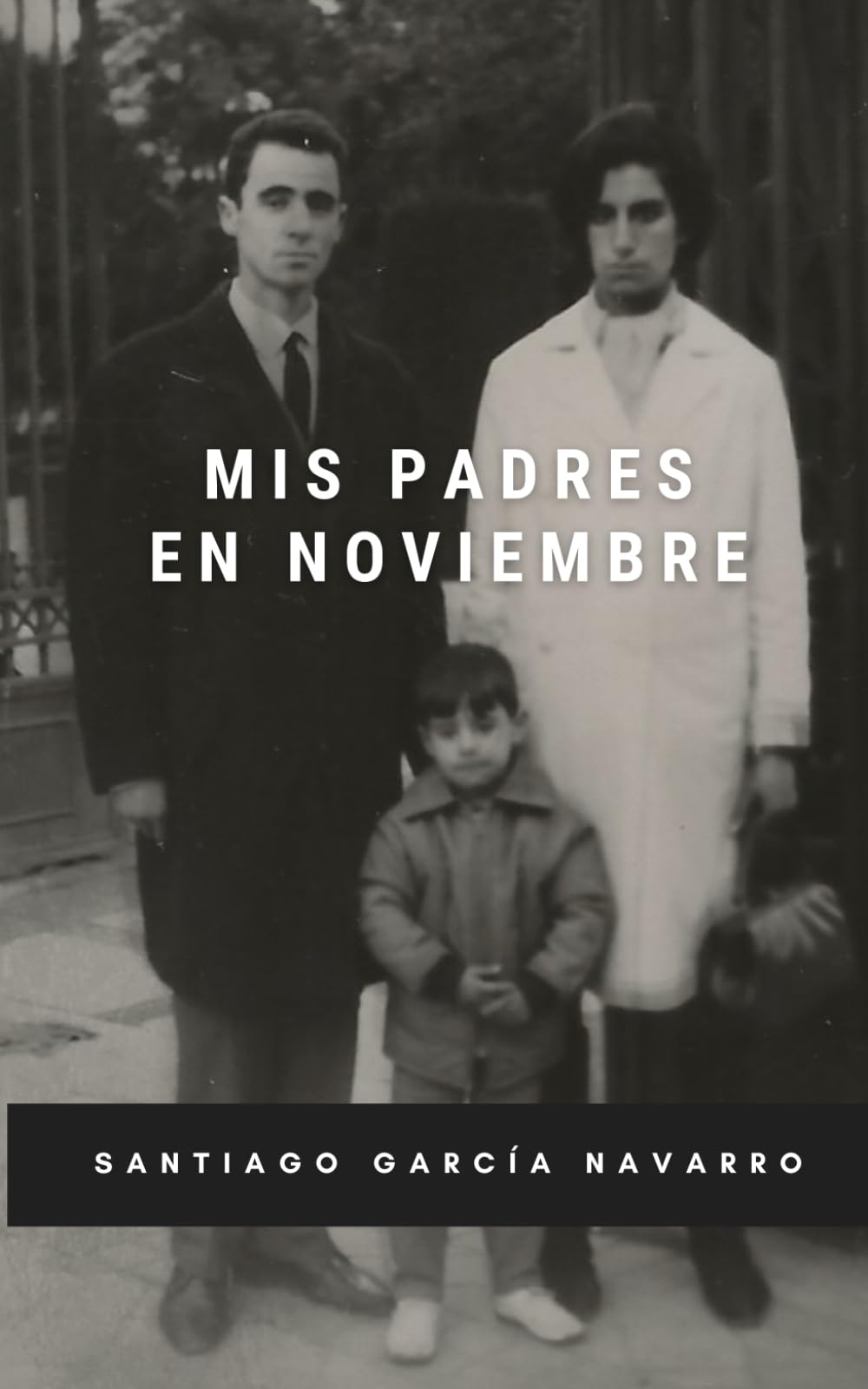 Libro: Mis padres en noviembre (Spanish Edition)