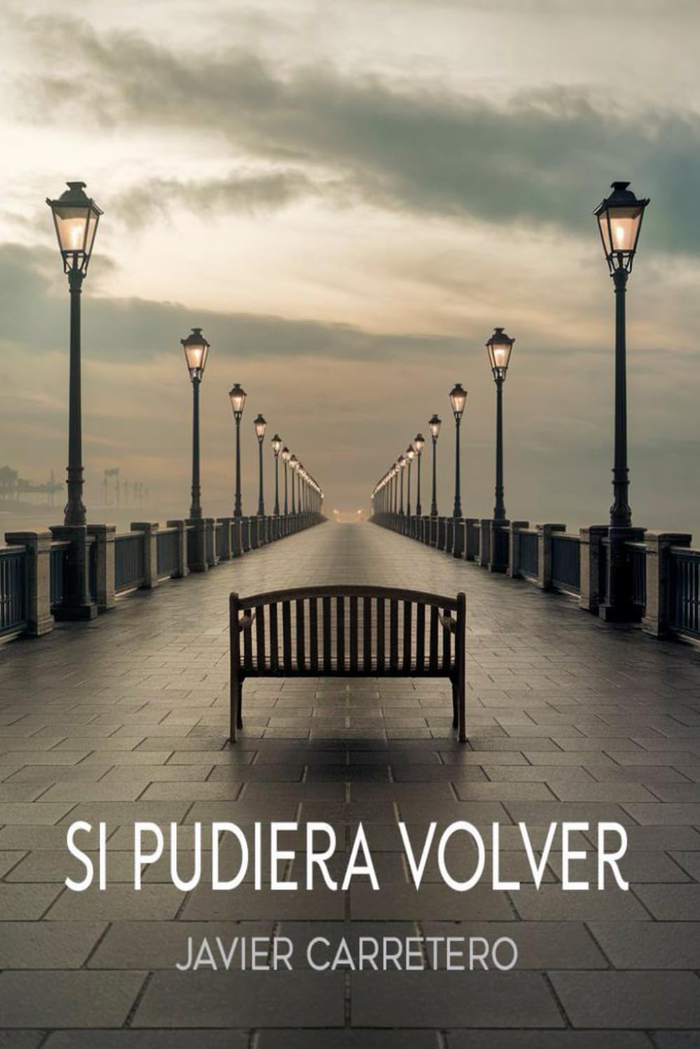 Libro: SI PUDIERA VOLVER (Spanish Edition)