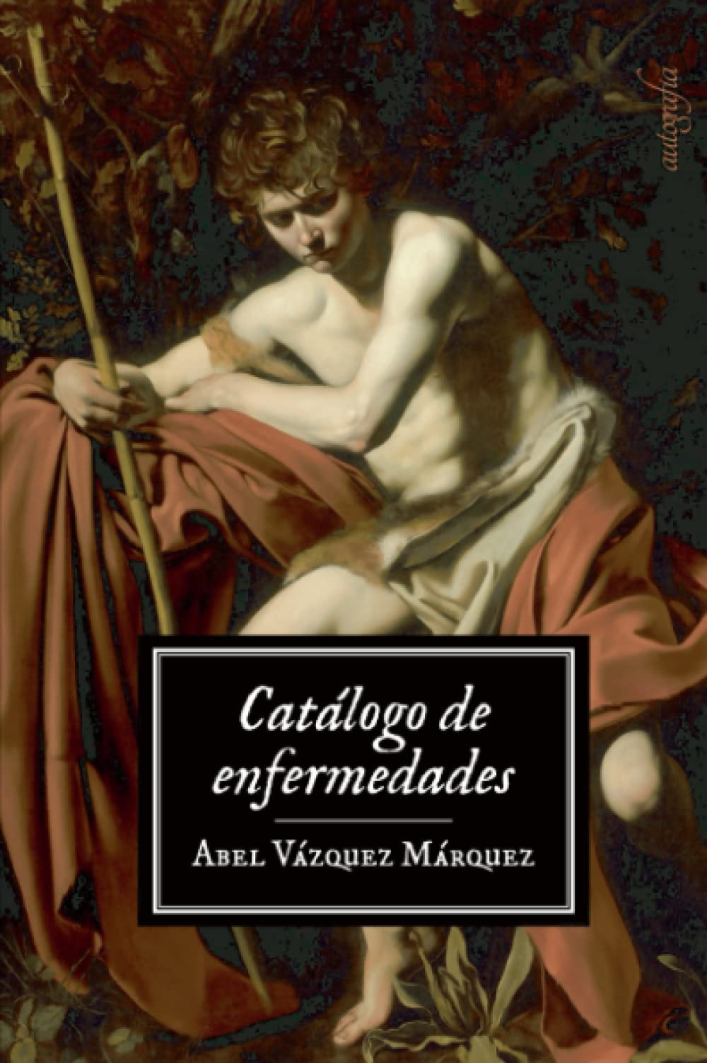 Libro: Catálogo de enfermedades (Spanish Edition)