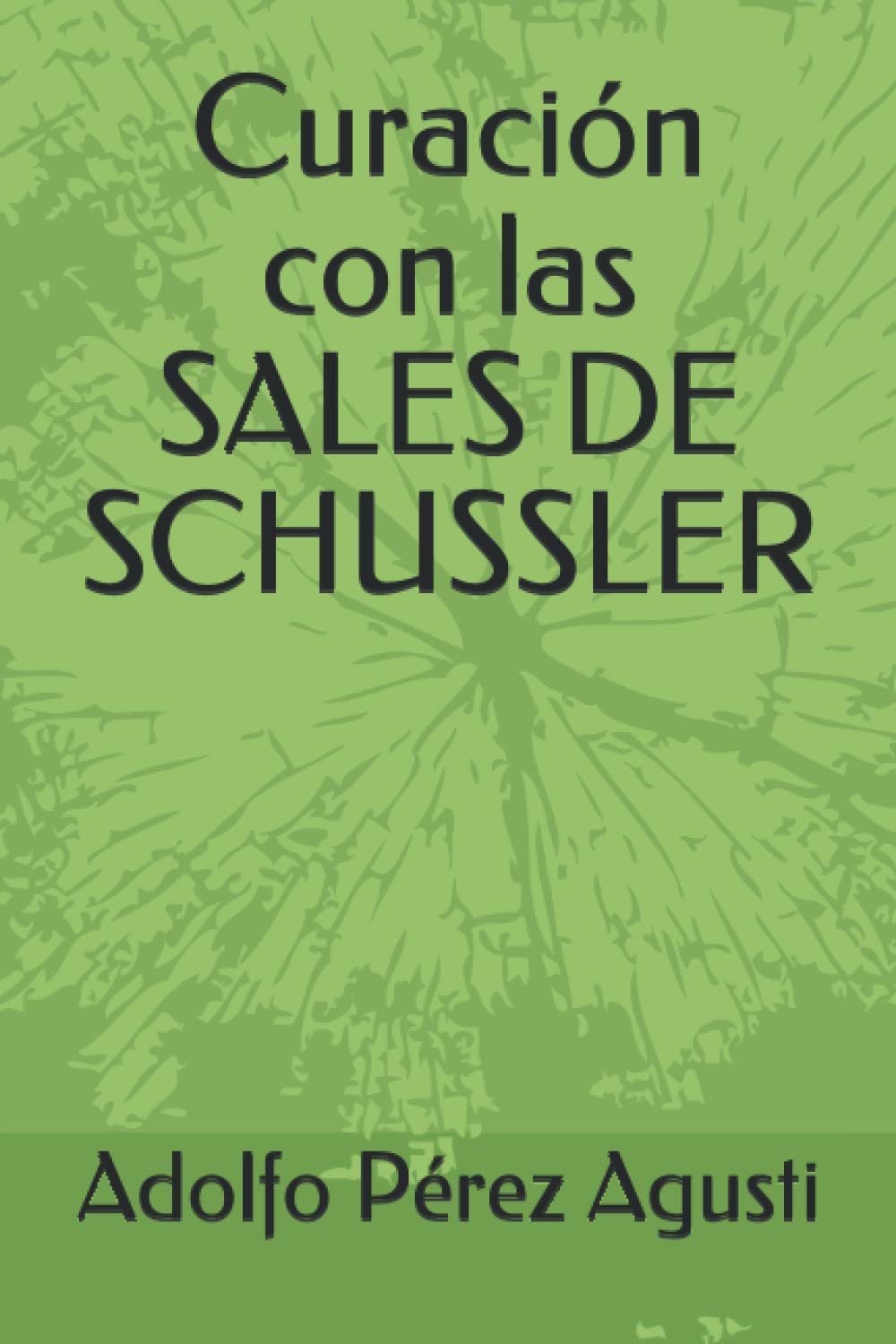 Libro: Curación con las SALES DE SCHUSSLER