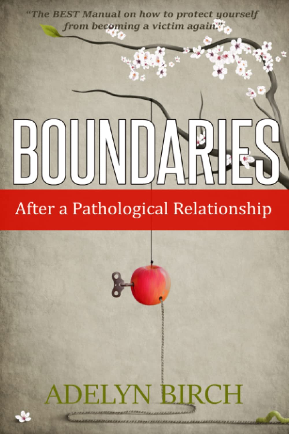 Libro: Boundaries After a Pathological Relationship