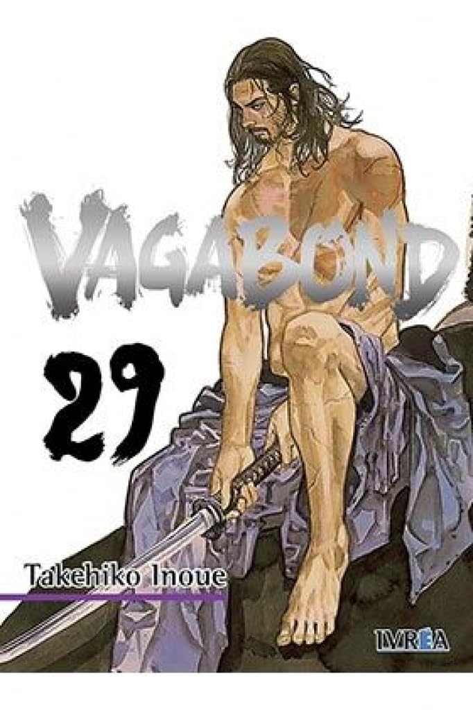Libro: Vagabond 29