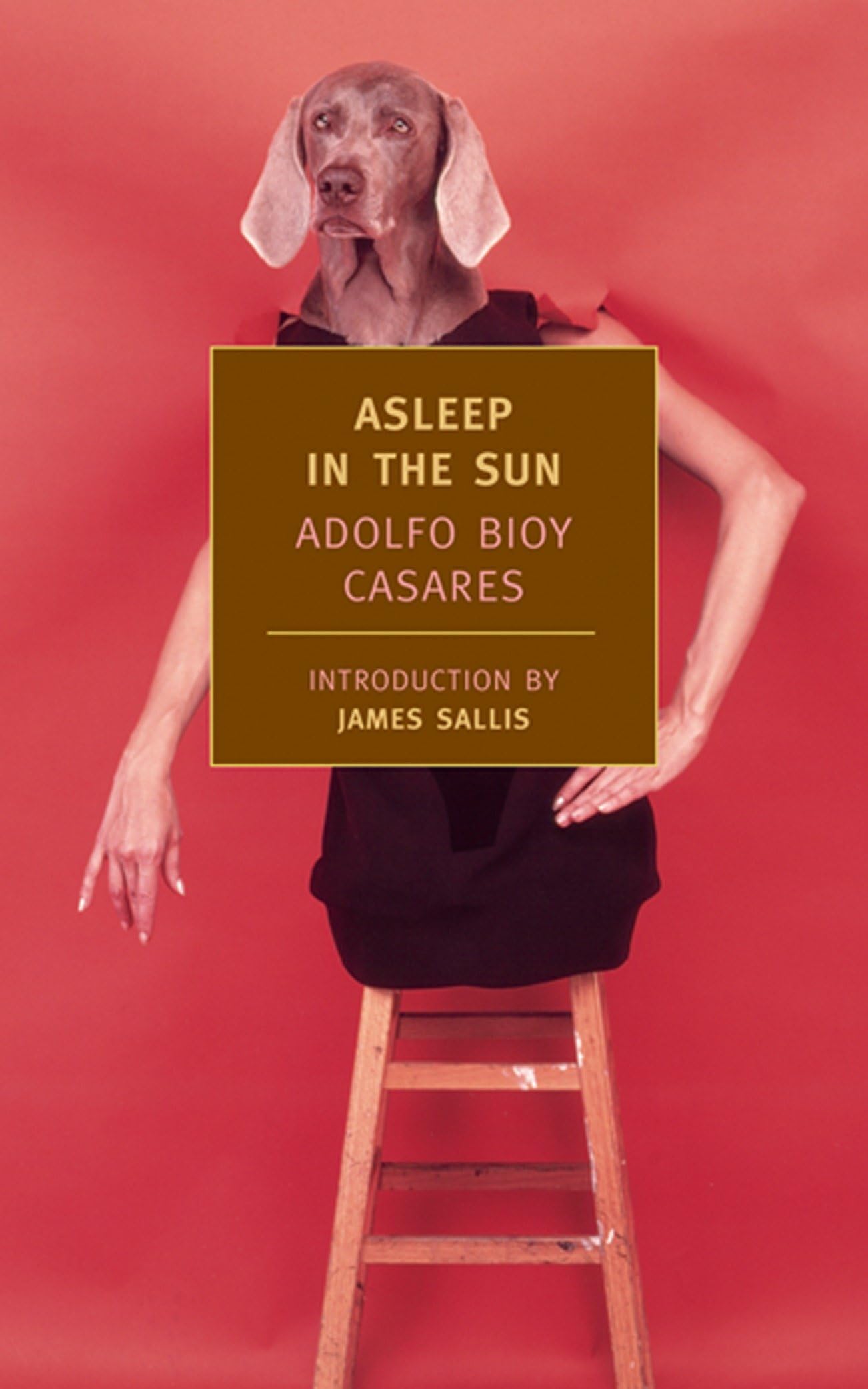 Libro: Asleep in the Sun (New York Review Books Classics)