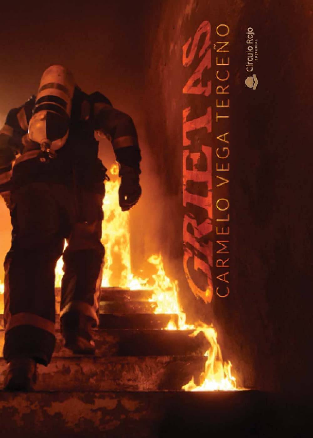 Libro: Grietas (SIN COLECCION)