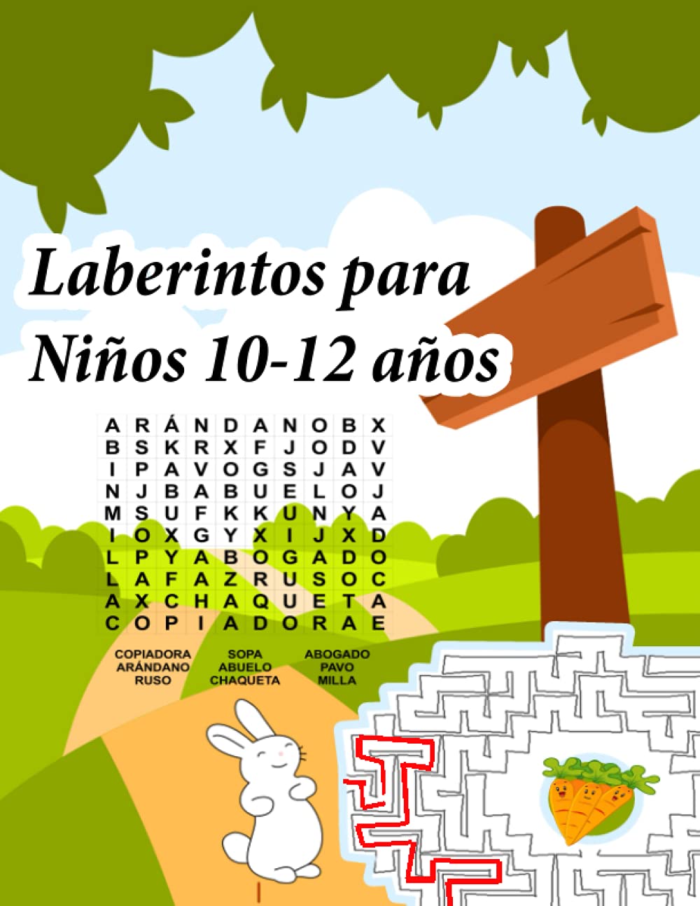 Libro: Laberintos para niños 10-12 años: Cuaderno de Laberintos para Niños 10 - 12 años (Spanish Edition)