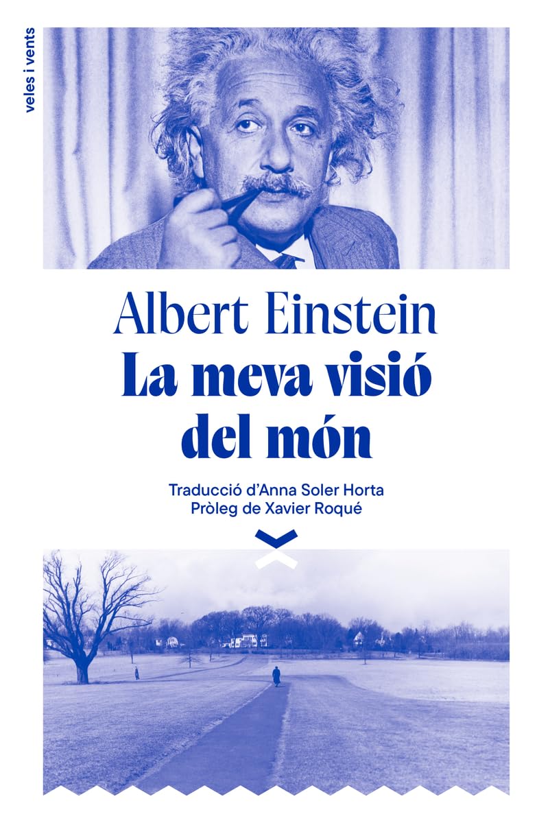 Libro: La meva visió del món: 3 (Mestres d'aixa)